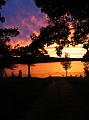 IMG_6186